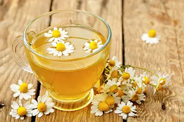 Papatya Suyu Kullanımı ve Faydaları Nelerdir?